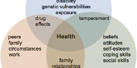 factors of Biopsychosocial model of mental illness