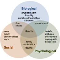 factors of Biopsychosocial model of mental illness